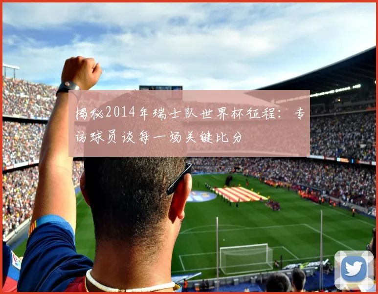 揭秘2014年瑞士队世界杯征程：专访球员谈每一场关键比分