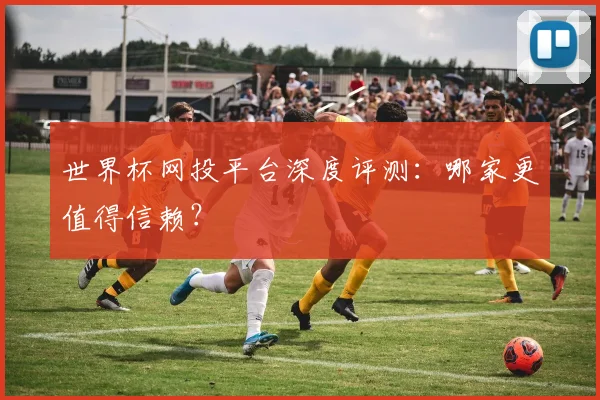 世界杯网投平台深度评测：哪家更值得信赖？