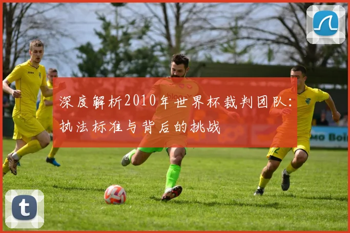 深度解析2010年世界杯裁判团队：执法标准与背后的挑战