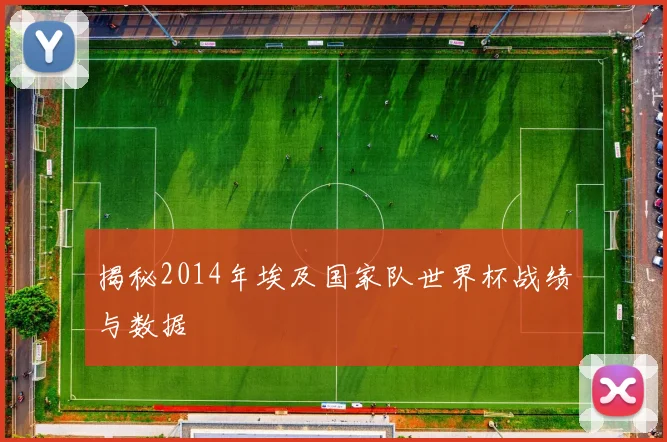 揭秘2014年埃及国家队世界杯战绩与数据